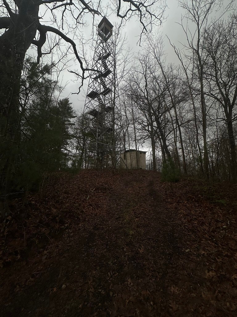 Steep, leaf-covered path leading up to a tall steel fire lookout tower and a small concrete hut under an overcast sky.