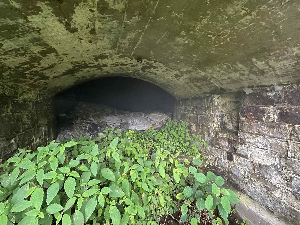 Overgrown stone and concrete arched portal in Wheelwright with rubble inside and leafy plants at the entrance.